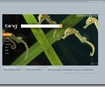 LiveSearch cèdera sa place a Bing le 3 Juin